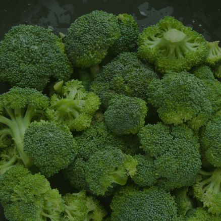 18 Caja de 3 kilos de brócoli