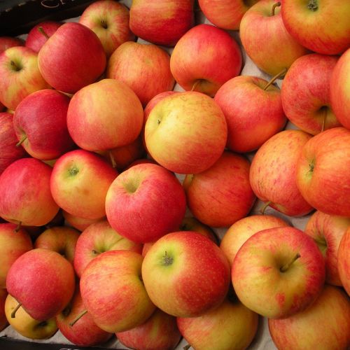 1 kilo de manzanas