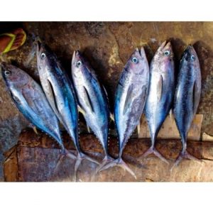 kilo de pescado, atún